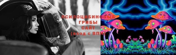 СК Абаза