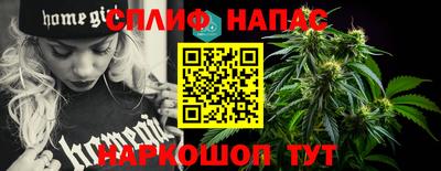 стаф Донской