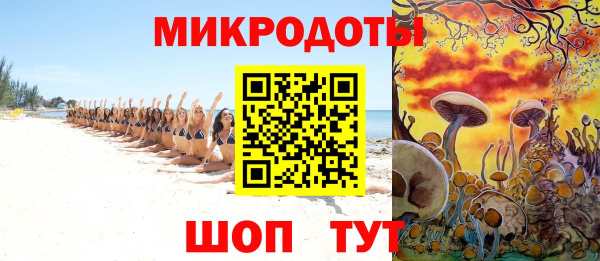 Псилоцибиновые грибы мицелий Урюпинск