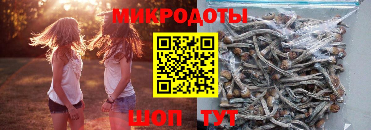 даркнет сайт  Псилоцибиновые грибы Psilocybe  Галлюциногенные грибы Psilocybe  Вход с VPN  Урюпинск 
